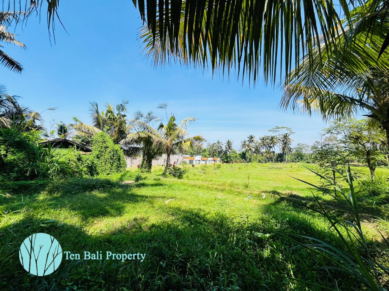 Pejeng, Ubud, Bali, ,Land,For Sale,1511