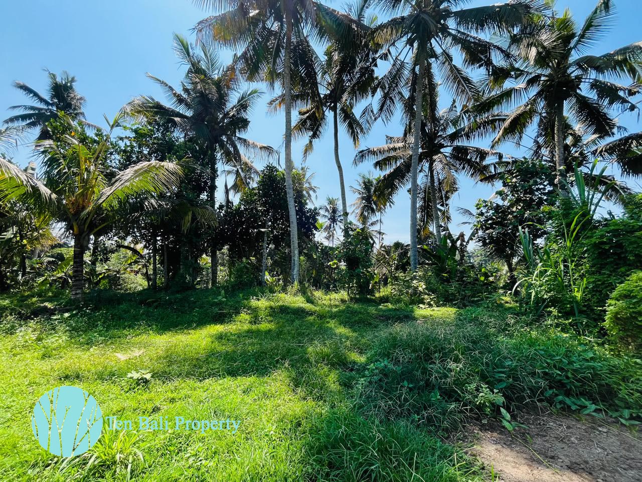 Pejeng, Ubud, Bali, ,Land,For Sale,1511