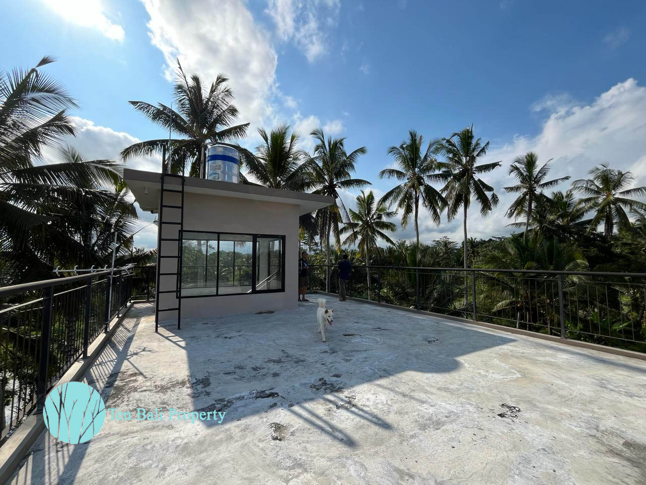 Kelusa, Payangan, Bali, 3 Bedrooms Bedrooms, ,2 BathroomsBathrooms,Villa,For Rent,1541