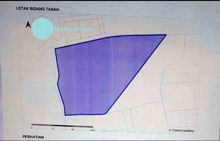 Pandawa Beach land, Bali land for sale, freehold land Bali, 9700m2 land Bali, R-4 zoned land Bali, villa land Bali, land near Pandawa, Bali property, land investment Bali, luxury land Bali, land for development Bali, Ten Bali Property, Badung land, South Kuta land, Royal Sport Horse Bali, GWK Bali, Uluwatu land, airport land Bali, residential land Bali, yellow zone land Bali
