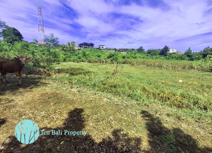 Pandawa Beach land, Bali land for sale, freehold land Bali, 9700m2 land Bali, R-4 zoned land Bali, villa land Bali, land near Pandawa, Bali property, land investment Bali, luxury land Bali, land for development Bali, Ten Bali Property, Badung land, South Kuta land, Royal Sport Horse Bali, GWK Bali, Uluwatu land, airport land Bali, residential land Bali, yellow zone land Bali