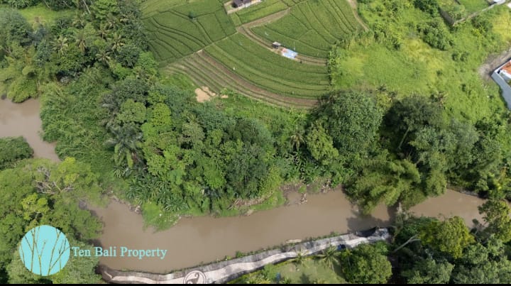 Bali land for sale
Freehold land Bali
Kaba-Kaba land
Land for development Bali
Bali investment property
Green Zone Bali
Yellow Zone Bali
Land subdivision Bali
Seseh Beach land
Batu Bolong land
Nu\'anu land
Bali real estate
Property in Kaba-Kaba