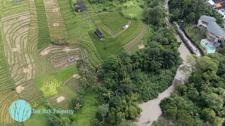Bali land for sale
Freehold land Bali
Kaba-Kaba land
Land for development Bali
Bali investment property
Green Zone Bali
Yellow Zone Bali
Land subdivision Bali
Seseh Beach land
Batu Bolong land
Nu\'anu land
Bali real estate
Property in Kaba-Kaba