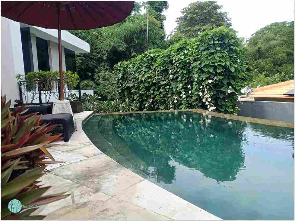 Umalas, Bali, 2 Bedrooms Bedrooms, ,2 BathroomsBathrooms,Villa,For Sale,1061