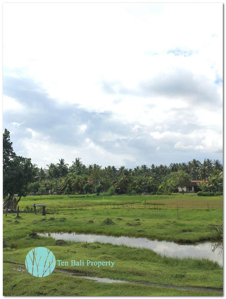 Jembrana, Bali, ,Land,For Sale,1073